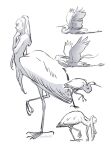  1girl bent_over bird completely_nude flying greyscale harpy heron monochrome monster_girl mullmull02 multiple_views nude original ponytail simple_background standing standing_on_one_leg taur twitter_username white_background 