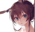  1girl amiya_(arknights) animal_ears arknights bare_shoulders blue_eyes brown_hair eyebrows_visible_through_hair looking_at_viewer parted_lips portrait rabbit_ears short_hair simple_background solo water_drop wet wet_hair white_background yuan_quanquan_ren 