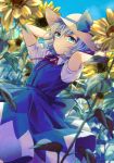  1girl blue_dress blue_eyes blue_hair blush cirno collared_shirt detached_wings dress eyebrows_visible_through_hair fairy flower hair_between_eyes hat highres ice ice_wings kuromame_(8gou) puffy_short_sleeves puffy_sleeves shirt short_hair short_sleeves solo sun_hat sunflower touhou white_shirt wings yellow_flower 