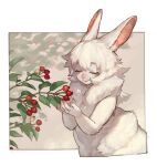  1girl animal_ears berry blush branch closed_eyes closed_mouth colored_skin furry furry_female hands_up mullmull02 original rabbit_ears rabbit_girl smile solo upper_body white_skin 