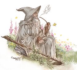  beard blue_eyes bug butterfly dated facial_hair from_side gandalf grass grey_headwear grey_robe hat kazuki-mendou long_beard old old_man pipe signature sitting smoking staff the_lord_of_the_rings tolkien&#039;s_legendarium 