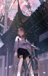  1girl absurdres aspara bag bangs bicycle black_pants blush brown_hair cherry_blossoms dappled_sunlight ground_vehicle highres house long_hair original outdoors pants shirt shorts socks solo sunlight white_legwear white_shirt 