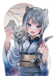  1girl animal_ears bangs blue_eyes blue_kimono blush grey_hair japanese_clothes kimono long_hair looking_at_viewer midorikawa_you obi original sash solo tiger tiger_ears white_tiger yukata 