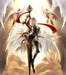  armor lord_of_vermilion tagme wings 