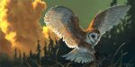  animal_focus bird blurry blurry_background clouds cloudy_sky english_commentary flying foreshortening forest grass highres hunting nature no_humans original outdoors owl realistic scenery sky spread_wings taran_fiddler tree 