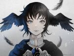  1girl black_hair blue_capelet blue_hair capelet feathers final_fantasy final_fantasy_xiv grey_background grey_eyes head_wings looking_at_viewer meteion muraicchi_(momocchi) portrait short_hair solo spoilers transformation twitter_username wing_ears 