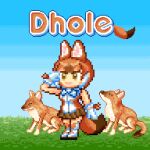  animal animal_costume animal_ear_fluff animal_ears brown_hair daisantw dhole_(kemono_friends) gloves grass kemono_friends kemono_friends_3 neck_ribbon pixel_art ribbon shoes simple_background skirt sky smile solo tail 