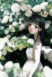  1girl angel_wings bare_arms black_eyes black_hair breasts closed_mouth dappled_sunlight dress flower from_side highres long_hair looking_at_viewer looking_to_the_side original outdoors sideboob sleeveless sleeveless_dress solo sunlight tsunko_(9v2_q) white_dress white_flower wings 