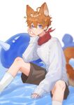  1boy absurdres animal_ears aylar bangs black_shorts blue_eyes blush fox_boy fox_ears fox_tail genshin_impact hair_between_eyes highres kneehighs looking_at_viewer male_focus official_alternate_costume orange_hair red_scarf scarf shorts simple_background sitting solo sweater sweater_vest symbol-only_commentary tail tartaglia_(genshin_impact) water white_background white_legwear white_sweater_vest 