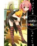  5_nenme_no_houkago animal_ears kantoku nekomimi tail thigh-highs waitress 