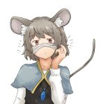  1girl :/ absurdres animal_ears brown_eyes capelet chagamaka crystal grey_hair highres jewelry medium_hair mouse_ears mouse_girl mouse_tail nazrin pendant solo tail touhou upper_body 
