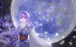  1girl absurdres asymmetrical_sleeves bug butterfly glowing_butterfly hair_ornament highres light long_hair moon night purple_hair qin_shi_ming_yue sash shao_siming_(qin_shi_ming_yue) shao_siming_guang_wei solo veil 