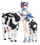  1girl animal_ears arknights bangs bare_legs bare_shoulders bikini black_gloves blue_jacket breasts chinese_commentary commentary_request cow fingerless_gloves full_body gloves highres jacket large_breasts licking licking_thigh long_sleeves navel off_shoulder official_alternate_costume purple_hair short_hair sideroca_(arknights) sideroca_(light_breeze)_(arknights) simple_background solo standing stomach swimsuit thigh_strap thighs uep visor_cap white_background white_bikini white_footwear yellow_eyes 