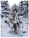  1girl absurdres animal animal_ears arknights bird black_hair black_scarf black_shirt border coat dog_tags ear_piercing extra_ears forest full_body fur-trimmed_hood fur-trimmed_sleeves fur_trim gloves highres holding holding_sword holding_weapon hood id_card long_hair looking_at_viewer multicolored_hair nature official_alternate_costume open_clothes open_coat outdoors pantyhose petting piercing pine_tree planted planted_sword red_eyes red_gloves redhead scarf scenery shirt shorts shuimo snow solo standing streaked_hair sword tail texas_(arknights) texas_(winter_messenger)_(arknights) tree weapon white_border white_coat white_footwear white_shorts winter winter_clothes winter_coat wolf wolf_ears wolf_girl wolf_tail 