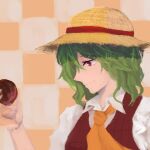  1girl ascot checkered_background collared_shirt green_hair hat highres holding kazami_yuuka looking_at_object medium_hair noel_(pixiv5459099) plaid plaid_vest red_eyes shirt smile solo straw_hat touhou upper_body vest 