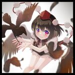  1girl animal bird black_border black_hair black_skirt blurry blurry_background blurry_foreground blush border crow depth_of_field eyebrows_visible_through_hair feathers from_above hat knees_together_feet_apart letterboxed looking_at_viewer pom_pom_(clothes) puffy_short_sleeves puffy_sleeves red_eyes shameimaru_aya shiroi_karasu shirt short_hair short_sleeves skirt smile solo tokin_hat touhou white_shirt 