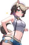 1girl animal_ears bangs black_hair blue_eyes blush breasts deaver eyebrows_visible_through_hair hair_ornament hat highres hololive large_breasts looking_at_viewer navel oozora_subaru shirt short_hair solo striped tail virtual_youtuber wolf_ears wolf_girl wolf_tail 