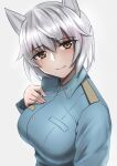  1girl aila_paivikki_linnamaa animal_ears blue_jacket dutch_angle eyebrows_visible_through_hair eyes_visible_through_hair grey_background grey_hair hand_on_own_chest highres idol_witches jacket liar_lawyer looking_at_viewer solo strike_witches uniform upper_body wolf_ears wolf_girl world_witches_series yellow_eyes 