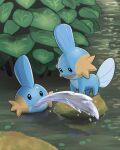  blurry commentary_request creature day hagi_753 highres leaf looking_down mudkip no_humans open_mouth outdoors pokemon pokemon_(creature) rock smile standing water 