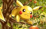  bird closed_mouth commentary_request food frown fruit in_tree leaf matsuri_(matsuike) orange_(fruit) outstretched_hand pidgey pikachu pokemon pokemon_(creature) sweatdrop tree 