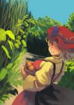  1girl aki_minoriko apple bangs basket blonde_hair blue_sky closed_mouth dress field food fruit fujimi_nao grapes hat highres holding holding_basket long_sleeves looking_at_viewer mob_cap outdoors red_apple red_eyes red_headwear short_hair sky smile solo touhou yellow_dress 