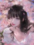  1girl absurdres bangs bare_shoulders black_hair bm94199 branch cherry_blossoms collarbone eyebrows_behind_hair flower highres korean_commentary long_hair looking_at_viewer off-shoulder_sweater off_shoulder original parted_lips pink_flower solo sweater violet_eyes white_sweater 