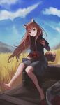  1girl absurdres animal_ears apple bangs barefoot black_capelet blue_sky blurry blurry_foreground brown_hair capelet clouds day dress feet floating_hair food fruit full_body fur-trimmed_capelet fur_trim grey_dress grin head_tilt highres holding holding_food holding_fruit holo long_hair long_sleeves looking_at_viewer mountainous_horizon outdoors qq1264702834 red_apple red_eyes short_dress sitting sky smile soles solo spice_and_wolf straight_hair tail toes very_long_hair wheat_field wolf_ears wolf_tail 