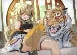  1girl animal animal_ears black_hair blonde_hair breasts chinese_zodiac clothes_down hitachi_sou jacket jacket_partially_removed large_breasts multicolored_hair original red_eyes single_thighhigh sitting sports_bra streaked_hair tail thigh-highs thigh_strap tiger tiger_ears tiger_girl tiger_tail year_of_the_tiger yellow_legwear 
