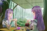  2girls absurdres asymmetrical_sleeves bamboo bush curtains hair_ornament hair_rings hairpin highres indoors long_hair multiple_girls pouring purple_hair qin_shi_ming_yue shao_siming_(qin_shi_ming_yue) shao_siming_guang_wei steam table tea 