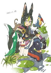  1boy :d animal_ear_fluff animal_ears asymmetrical_sleeves bird black_gloves black_hair black_pants blue_pants blunt_ends blush bright_pupils brown_eyes brown_gloves cape capri_pants commentary_request dated drawstring earrings flower fox_boy fox_ears fox_tail genshin_impact gloves grass green_cape green_eyes green_hair hair_between_eyes highres hood hood_down hoodie jewelry knee_up lily_pad long_sleeves looking_at_viewer male_focus moss multicolored_clothes multicolored_eyes multicolored_hair multicolored_pants nanase_(nanataroo_7) open_mouth pants plant purple_sash rock sash short_hair short_sleeves simple_background single_earring sitting smile soaking_feet solo streaked_hair tail tighnari_(genshin_impact) two-tone_gloves uneven_sleeves water white_background white_pupils yellow_flower 