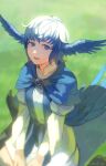  1girl bird_girl bird_tail bird_wings blue_capelet blue_eyes blue_hair blurry brooch capelet depth_of_field dress feathered_wings final_fantasy final_fantasy_xiv from_above green_background head_wings highres jewelry komoshita looking_at_viewer meteion on_grass open_mouth outdoors short_hair sitting smile solo tail twitter_username wariza white_dress wings 
