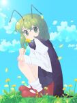  1girl androgynous antennae bangs black_cape blue_sky blush cape closed_mouth clouds commentary_request dandelion day flower full_body grass green_eyes green_hair juliet_sleeves kari_(atsuki_565) long_sleeves looking_at_viewer looking_to_the_side mary_janes outdoors puffy_sleeves red_cape red_footwear shirt shoes short_hair short_sleeves sky socks solo squatting sun sunlight touhou two-sided_cape two-sided_fabric white_legwear white_shirt wriggle_nightbug yellow_flower 