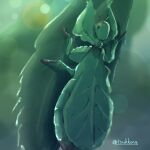  animal_focus artist_name blurry blurry_background bokeh commentary_request depth_of_field full_body green_background green_theme highres leaf leaf_insect no_humans original outdoors partial_commentary red_eyes signature sketch tsukkon twitter_username 