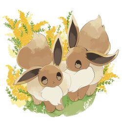  animal_focus brown_eyes brown_fur closed_mouth eevee flower full_body grass highres merino_(merino_9999) no_humans pokemon pokemon_(creature) simple_background standing white_background yellow_flower 