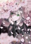 1girl bangs blurry blurry_foreground cherry_blossoms fate_(series) floating_hair gray_(fate) green_eyes grey_skirt grey_sweater hair_between_eyes highres hood hood_up hooded_sweater long_sleeves looking_at_viewer lord_el-melloi_ii_case_files maru_(pjnh8882) medium_hair miniskirt parted_lips plaid plaid_skirt pleated_skirt skirt solo sweater white_hair 