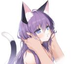  1boy 1girl animal_ear_fluff animal_ears bangs black_choker blue_eyes byulzzi cat_ears cat_girl cat_tail choker commentary_request eyebrows_visible_through_hair fang hair_between_eyes hands_up long_hair looking_away nude original out_of_frame parted_lips purple_hair signature simple_background solo_focus tail upper_body white_background 