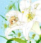  card_captor_sakura clamp kinomoto_sakura tagme 