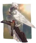  1girl blood branch breasts commentary_request eating feather_hair feathers harpy long_hair medium_breasts monster_girl mullmull02 original red_eyes talons winged_arms wings 