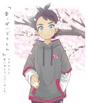  1boy antenna_hair bangs black_hair blue_eyes blush branch closed_mouth commentary_request eyelashes flower goh_(pokemon) grey_hoodie hand_in_pocket highres holding holding_flower hood hood_down hoodie looking_at_viewer male_focus minato_(mntnm) pokemon pokemon_(anime) pokemon_journeys short_hair smile solo translation_request white_flower 