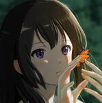  1girl bangs black_hair blurry blurry_background bug butterfly butterfly_on_hand cho_ryuu hibike!_euphonium kousaka_reina long_hair portrait solo violet_eyes 