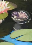  1girl absurdres bangs bowl full_body highres in_container japanese_clothes kimono lily_pad looking_down minigirl nanashi_nasi outdoors purple_hair red_kimono reflection reflective_water short_hair solid_oval_eyes solo sukuna_shinmyoumaru touhou 