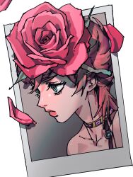  1girl black_choker black_eyes choker collarbone commentary_request flower highres igoya77 jojo_no_kimyou_na_bouken korean_commentary makeup multicolored_choker petals photo_(object) pink_choker pink_flower pink_hair pink_lips pink_rose portrait rose short_hair solo trish_una vento_aureo yellow_choker 