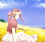  1girl aerith_gainsborough bangs braid braided_ponytail breasts brown_hair chiru_(sanifani) clouds cloudy_sky cropped_jacket curly_hair dress field final_fantasy final_fantasy_vii final_fantasy_vii_remake flower flower_field green_eyes hair_ribbon jacket long_dress medium_breasts ocean on_ground parted_bangs parted_lips pink_dress puffy_short_sleeves puffy_sleeves red_jacket ribbon short_sleeves sidelocks sky smile solo upper_body 