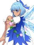  1girl absurdres arms_up back bangs barefoot blue_bow blue_dress blue_eyes blue_hair blush bow cirno closed_mouth collared_shirt commentary_request dress eyebrows_visible_through_hair eyes_visible_through_hair flower from_behind hair_between_eyes hands_up highres ice ice_wings leaf looking_at_viewer looking_back nanohanalyon puffy_short_sleeves puffy_sleeves purple_flower shirt short_hair short_sleeves simple_background sitting solo tan tanned_cirno touhou v-shaped_eyebrows white_background white_shirt wings 