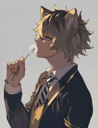  1boy absurdres animal_ear_fluff animal_ears arm_up blonde_hair blue_eyes brown_hair closed_mouth collared_shirt commentary_request dandelion dandelion_seed diagonal-striped_clothes diagonal-striped_necktie flower from_side gold_trim grey_background hair_between_eyes highres holding holding_flower jacket lapels layered_sleeves male_focus necktie night_raven_college_uniform profile roku_maruru ruggie_bucchi school_uniform shirt short_hair solo striped_clothes twisted_wonderland upper_body vest white_shirt wing_collar yellow_vest 