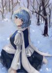 1girl b_nosk101 bare_tree blue_eyes blue_hair blue_vest blush eyebrows_behind_hair from_above hat highres juliet_sleeves letty_whiterock long_sleeves looking_at_viewer looking_back outdoors puffy_sleeves scarf short_hair skirt smile snow snowing solo touhou tree vest white_scarf winter 