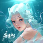  1girl absurdres bare_shoulders blue_eyes blue_hair bubble douluo_dalu face flower hair_flower hair_ornament hair_rings highres long_hair looking_at_viewer solo tang_wutong_(douluo_dalu) tang_wutong_tongren_she underwater upper_body 