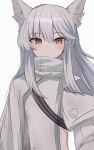  1girl absurdres animal_ear_fluff animal_ears arknights bangs blush brown_eyes closed_mouth eyebrows_visible_through_hair grey_hair high_collar highres horse_ears issei_draw long_hair long_sleeves looking_at_viewer platinum_(arknights) shoulder_strap sidelocks simple_background solo upper_body very_long_hair white_background 