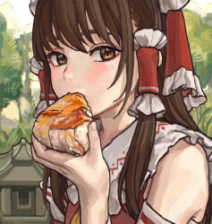  1girl absurdres brown_eyes brown_hair chinese_commentary close-up commentary_request detached_sleeves eating food frilled_hair_tubes frills h2o_pipe hair_tubes hakurei_reimu highres holding holding_food light_blush looking_at_viewer onigiri solo stone_lantern touhou upper_body 