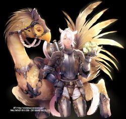  1boy animal_ears armor axe battle_axe bird cabbage cat_boy cat_ears cat_tail chocobo copyright_name cowboy_shot deviantart_username feathers final_fantasy final_fantasy_xiv gauntlets headgear male_focus medium_hair miqo&#039;te srinitybeast tail warrior_of_light_(ff14) weapon weapon_on_back white_hair yellow_feathers 